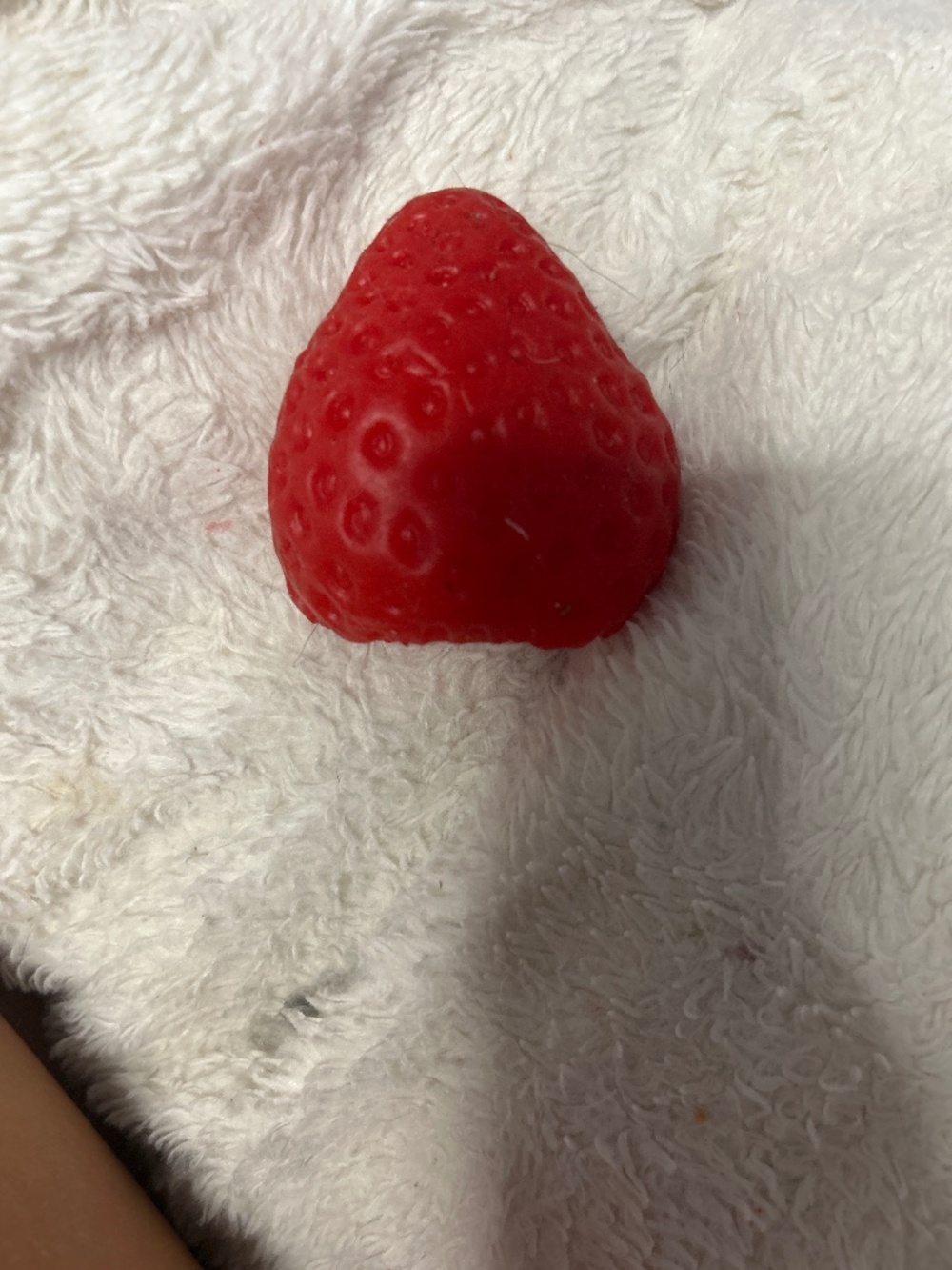 Strawberry squishy